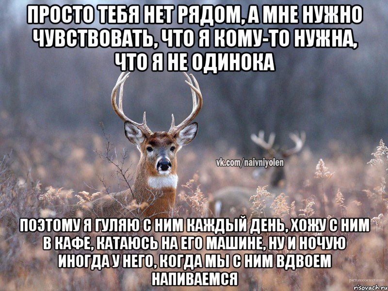 просто тебя нет рядом, а мне нужно чувствовать, что я кому-то нужна, что я не одинока поэтому я гуляю с ним каждый день, хожу с ним в кафе, катаюсь на его машине, ну и ночую иногда у него, когда мы с ним вдвоем напиваемся, Мем   Наивный олень