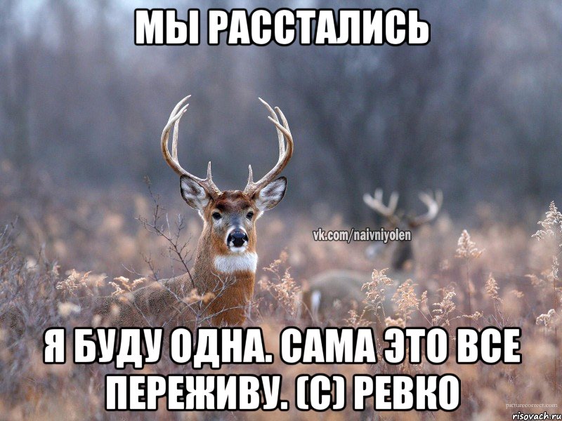 Мы расстались Я буду одна. Сама это все переживу. (с) Ревко, Мем   Наивный олень