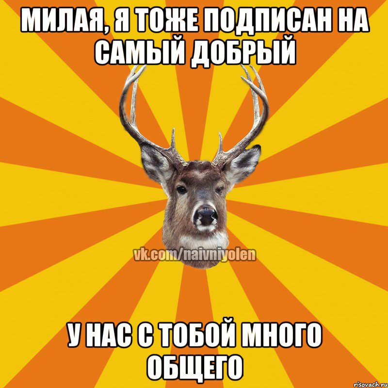 Милая, я тоже подписан на Самый Добрый У нас с тобой много общего, Мем Наивный Олень вк