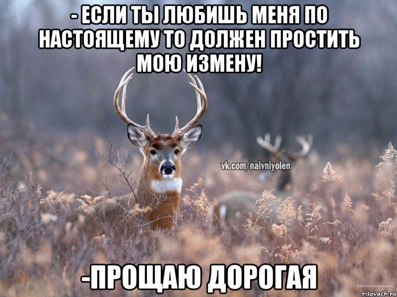 - Если ты любишь меня по настоящему то должен простить мою измену! -прощаю дорогая, Мем   Наивный олень