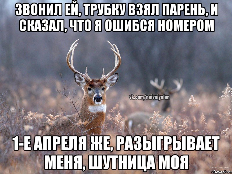 Звонил ей, трубку взял парень, и сказал, что я ошибся номером 1-е апреля же, разыгрывает меня, шутница моя, Мем   Наивный олень