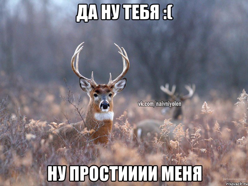 Да ну тебя :( ну простииии меня, Мем   Наивный олень