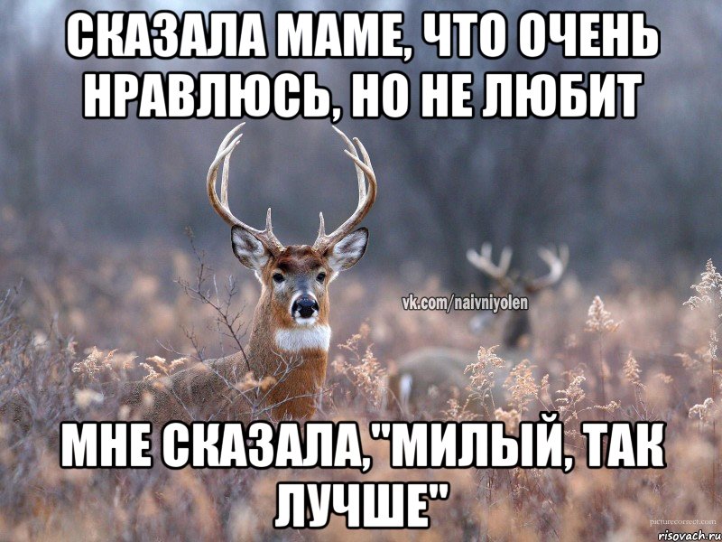 сказала маме, что очень нравлюсь, но не любит мне сказала,"милый, так лучше", Мем   Наивный олень