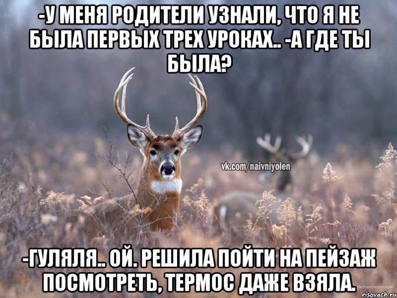 -У меня родители узнали, что я не была первых трех уроках.. -А где ты была? -Гуляля.. Ой. Решила пойти на пейзаж посмотреть, термос даже взяла., Мем   Наивный олень