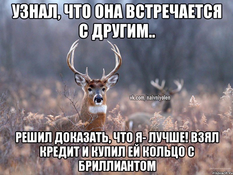 Узнал, что она встречается с другим.. Решил доказать, что я- лучше! Взял кредит и купил ей кольцо с бриллиантом, Мем   Наивный олень