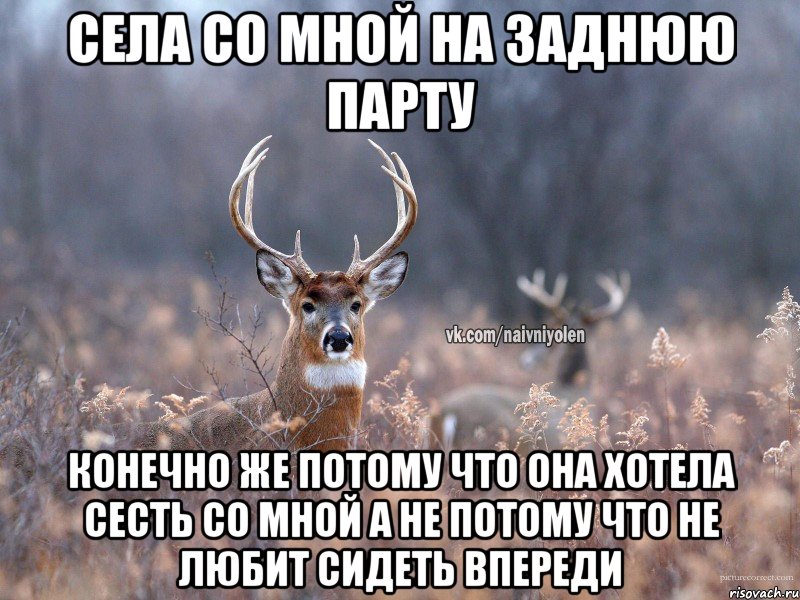 СЕЛА СО МНОЙ НА ЗАДНЮЮ ПАРТУ КОНЕЧНО ЖЕ ПОТОМУ ЧТО ОНА ХОТЕЛА СЕСТЬ СО МНОЙ А НЕ ПОТОМУ ЧТО НЕ ЛЮБИТ СИДЕТЬ ВПЕРЕДИ, Мем   Наивный олень