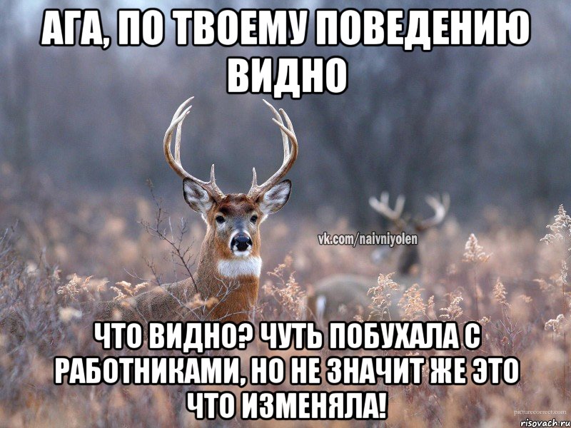 Ага, по твоему поведению видно Что видно? Чуть побухала с работниками, но не значит же это что изменяла!, Мем   Наивный олень