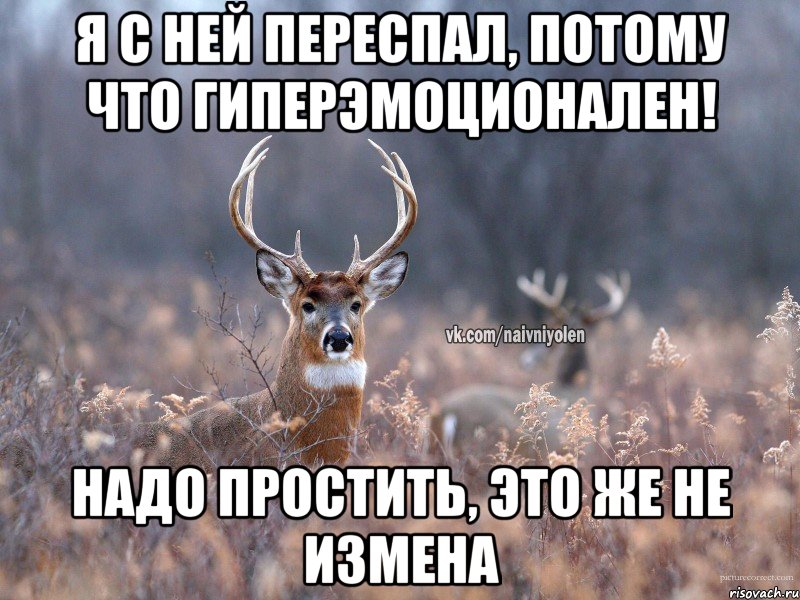 я с ней переспал, потому что гиперэмоционален! надо простить, это же не измена, Мем   Наивный олень