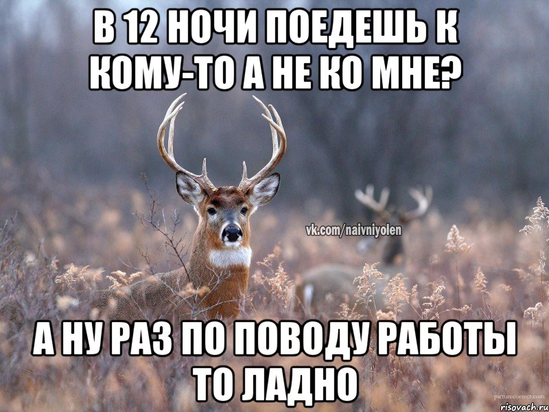 в 12 ночи поедешь к кому-то а не ко мне? а ну раз по поводу работы то ладно, Мем   Наивный олень