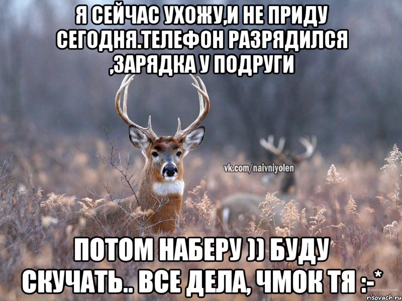 я сейчас ухожу,и не приду сегодня.телефон разрядился ,зарядка у подруги потом наберу )) буду скучать.. все дела, чмок тя :-*, Мем   Наивный олень