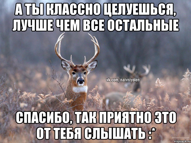 А ты классно целуешься, лучше чем все остальные Спасибо, так приятно это от тебя слышать :*, Мем   Наивный олень