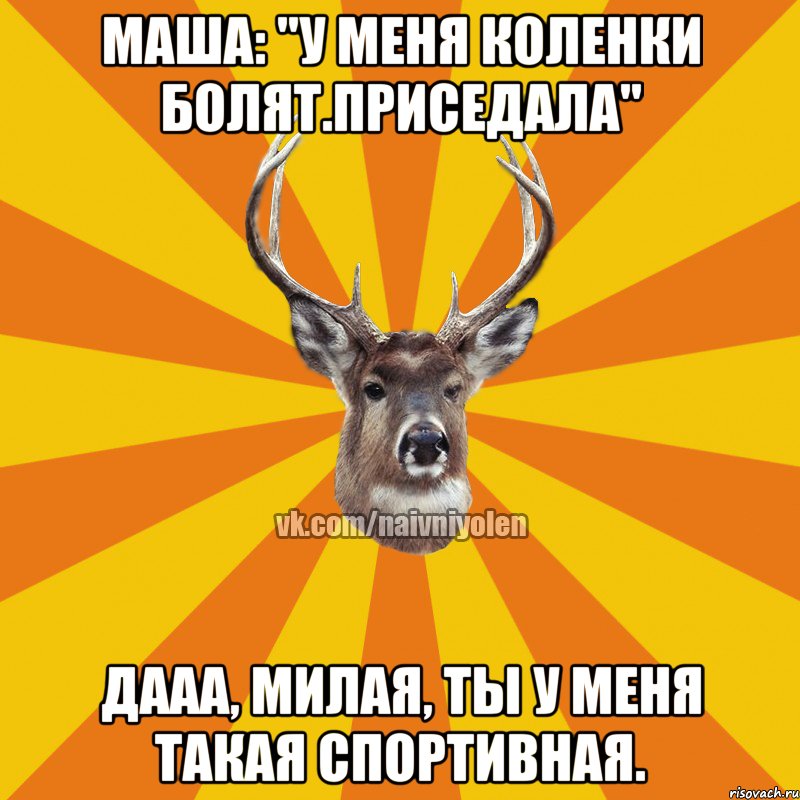 Маша: "у меня коленки болят.Приседала" Дааа, милая, ты у меня такая спортивная., Мем Наивный Олень вк