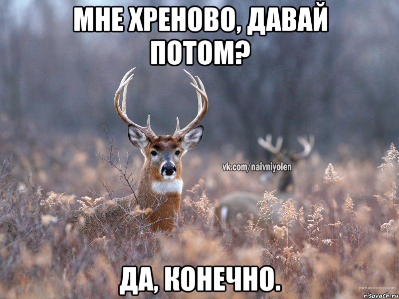 Мне хреново, давай потом? Да, конечно., Мем   Наивный олень