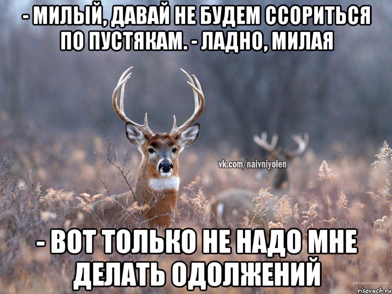 - милый, давай не будем ссориться по пустякам. - ладно, милая - вот только не надо мне делать одолжений, Мем   Наивный олень