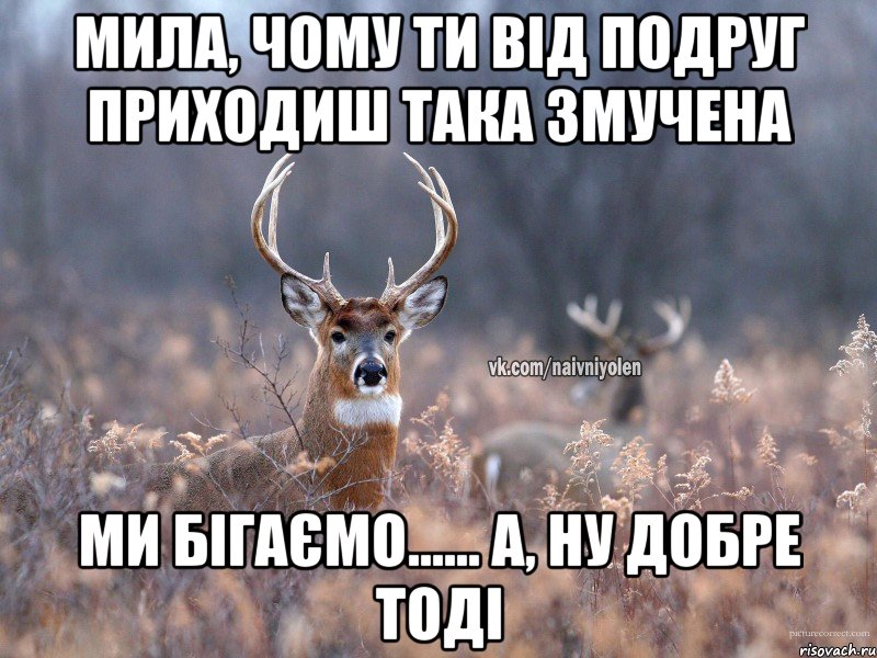 Мила, чому ти від подруг приходиш така змучена Ми бігаємо...... А, ну добре тоді, Мем   Наивный олень