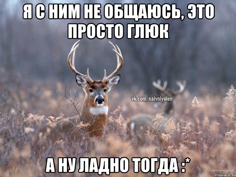 Я с ним не общаюсь, это просто глюк А ну ладно тогда :*, Мем   Наивный олень