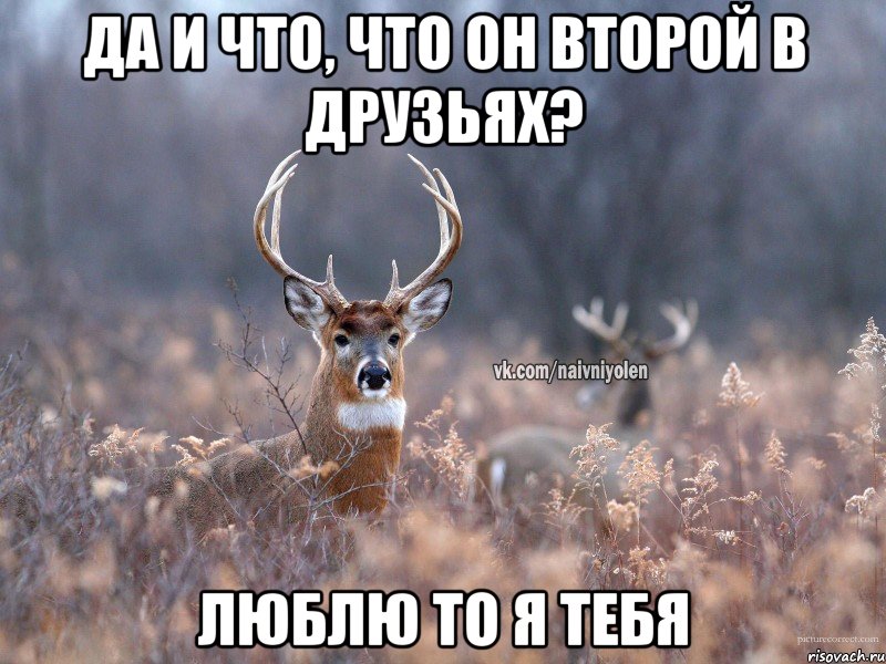 Да и что, что он второй в друзьях? Люблю то я тебя, Мем   Наивный олень