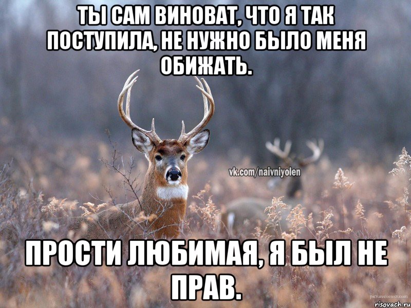 Ты сам виноват, что я так поступила, не нужно было меня обижать. Прости любимая, я был не прав., Мем   Наивный олень