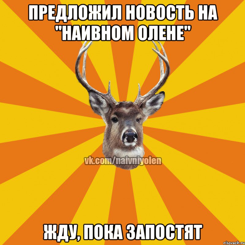 Предложил новость на "Наивном Олене" Жду, пока запостят, Мем Наивный Олень вк