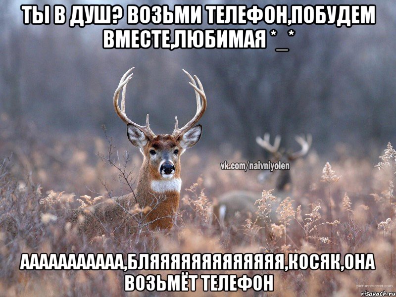 ты в душ? возьми телефон,побудем вместе,любимая *_* ааааааааааа,бляяяяяяяяяяяяя,косяк,она возьмёт телефон, Мем   Наивный олень