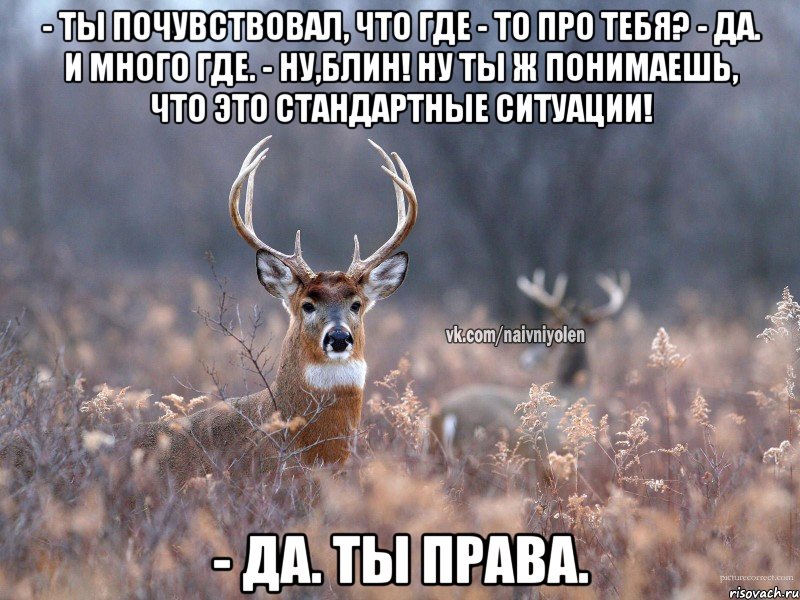 - Ты пoчувствовал, что где - то про тебя? - Да. И много где. - Ну,блин! Ну ты ж понимаешь, что это стандартные ситуации! - Да. Ты права., Мем   Наивный олень