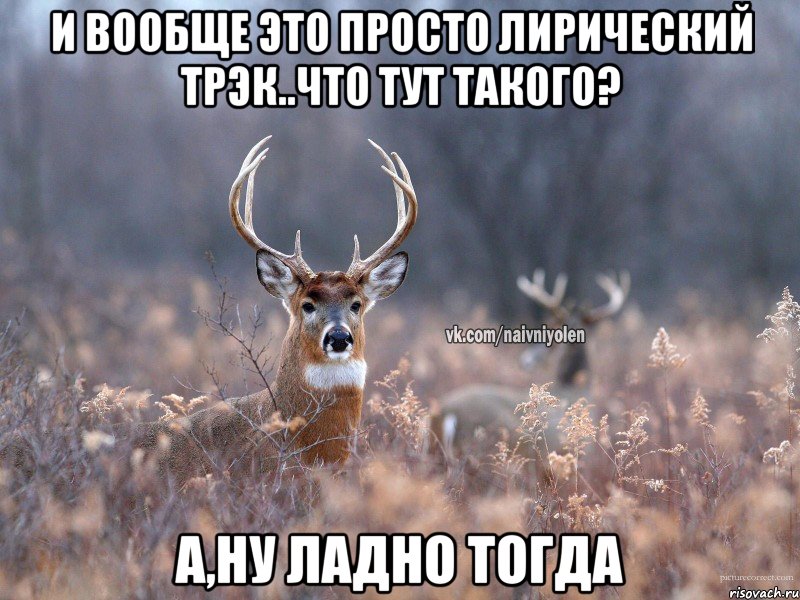 И вообще это просто лирический трэк..Что тут такого? А,ну ладно тогда, Мем   Наивный олень