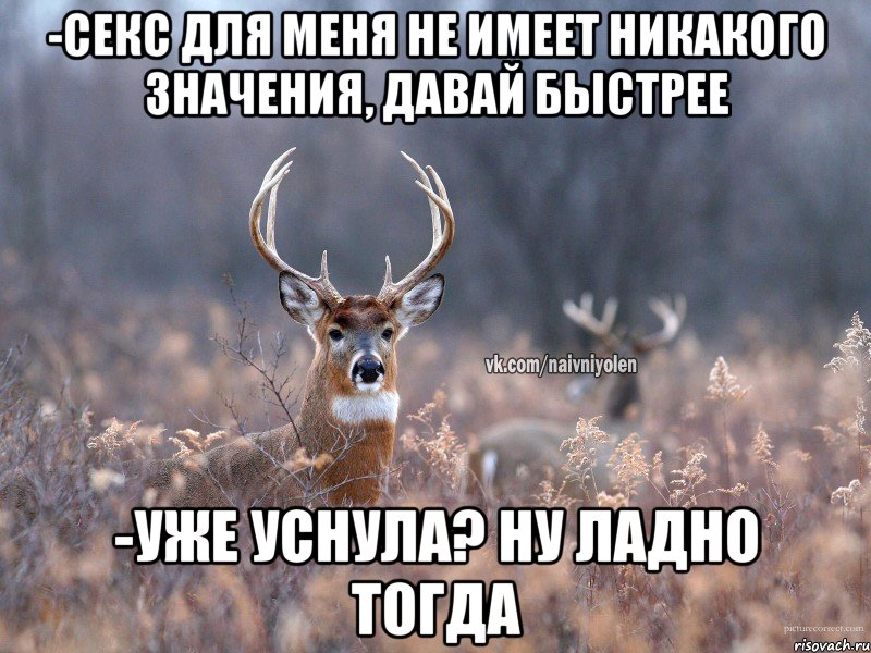 -СЕКС ДЛЯ МЕНЯ НЕ ИМЕЕТ НИКАКОГО ЗНАЧЕНИЯ, ДАВАЙ БЫСТРЕЕ -УЖЕ УСНУЛА? НУ ЛАДНО ТОГДА, Мем   Наивный олень