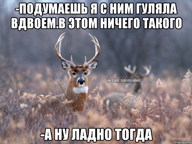 -Подумаешь я с ним гуляла вдвоем.В этом ничего такого -А ну ладно тогда, Мем   Наивный олень