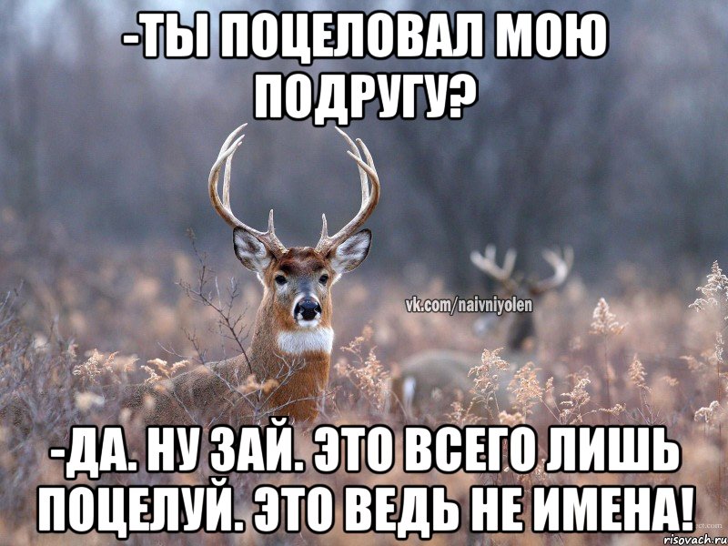 -ТЫ ПОЦЕЛОВАЛ МОЮ ПОДРУГУ? -ДА. НУ ЗАЙ. ЭТО ВСЕГО ЛИШЬ ПОЦЕЛУЙ. ЭТО ВЕДЬ НЕ ИМЕНА!, Мем   Наивный олень