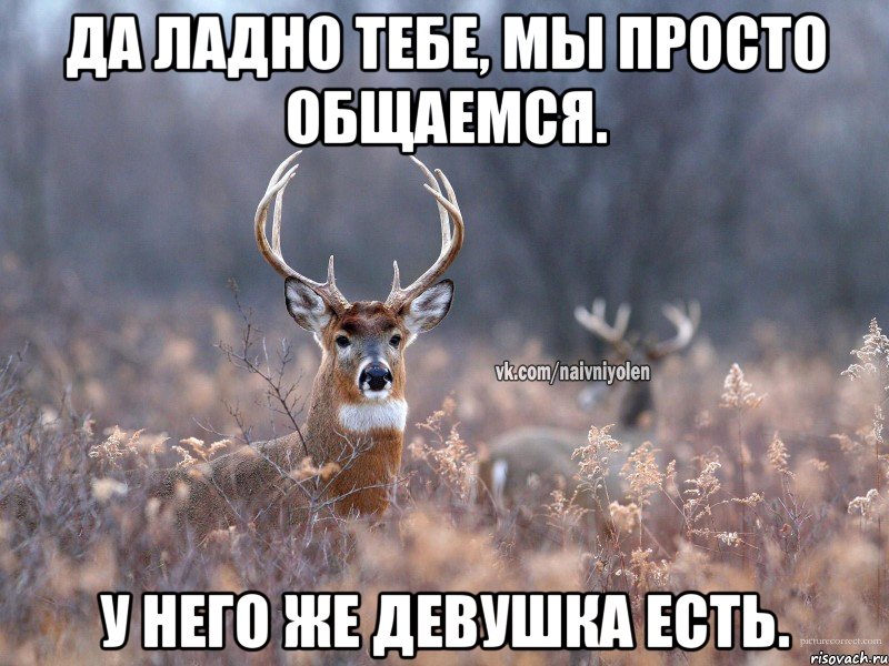 Да ладно тебе, мы просто общаемся. У него же девушка есть.