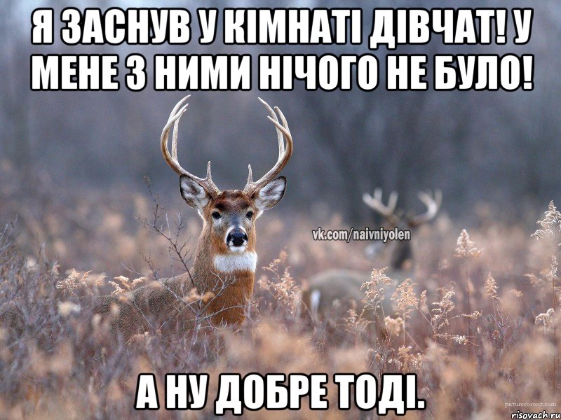 Я заснув у кімнаті дівчат! у мене з ними нічого не було! А ну добре тоді., Мем   Наивный олень