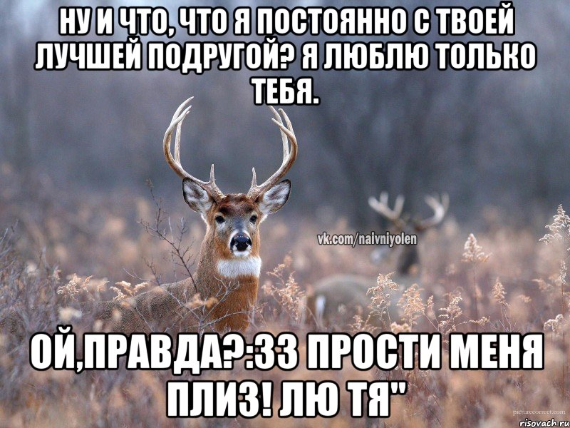 Ну и что, что я постоянно с твоей лучшей подругой? Я люблю только тебя. Ой,правда?:33 прости меня плиз! лю тя", Мем   Наивный олень