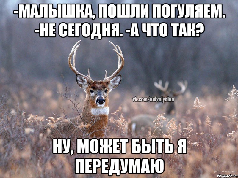 -Малышка, пошли погуляем. -Не сегодня. -А что так? Ну, может быть я передумаю, Мем   Наивный олень