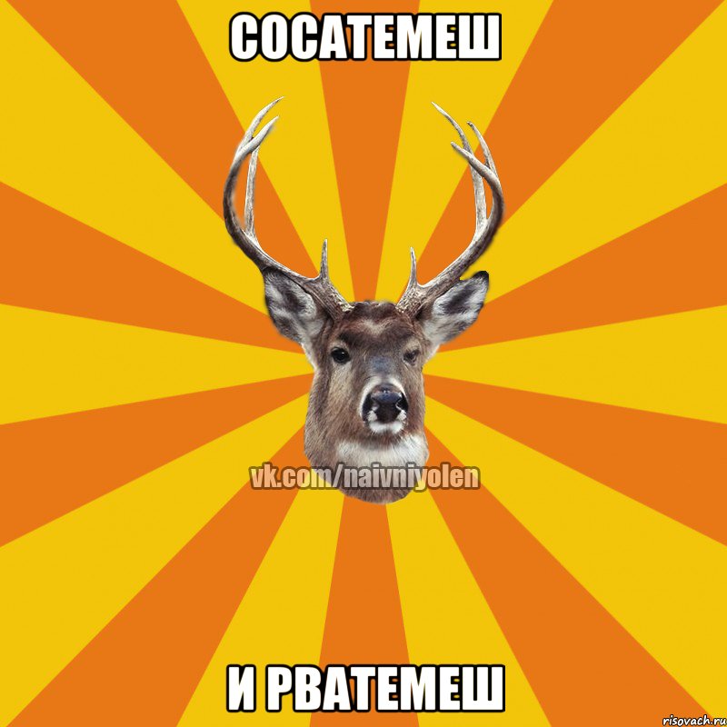 сосатемеш и рватемеш