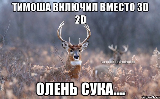 Тимоша включил вместо 3D 2D Олень сука...., Мем   Наивный олень