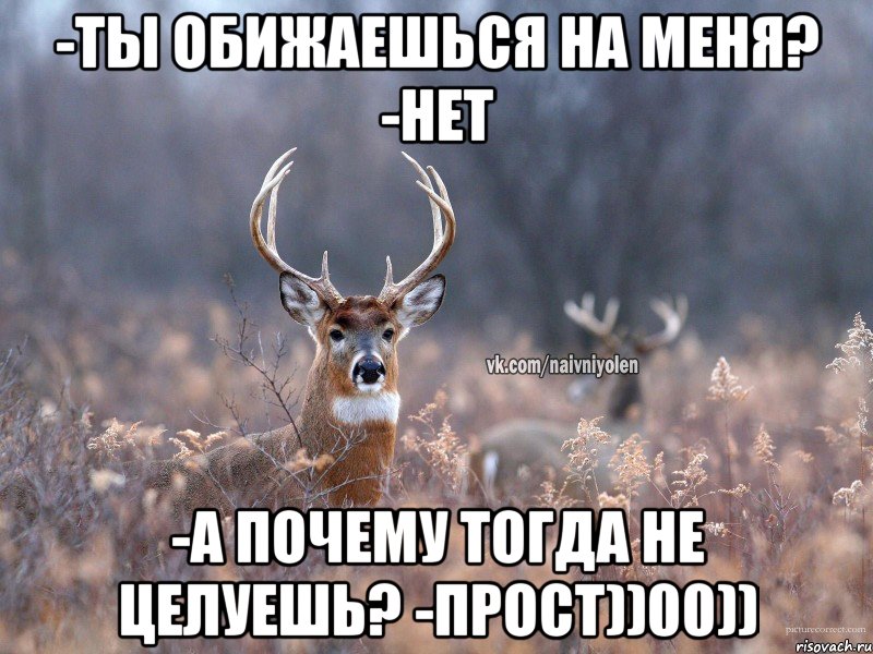 -ты обижаешься на меня? -нет -а почему тогда не целуешь? -прост))00)), Мем   Наивный олень