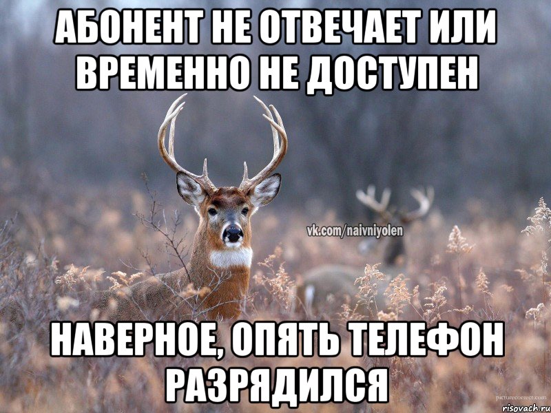 Абонент не отвечает или временно не доступен наверное, опять телефон разрядился, Мем   Наивный олень