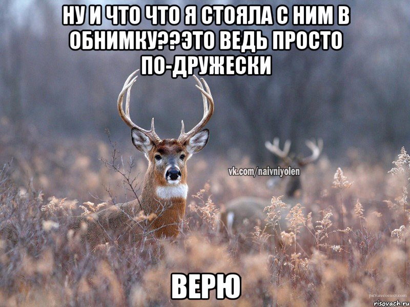 Ну и что что я стояла с ним в обнимку??Это ведь просто по-дружески Верю, Мем   Наивный олень