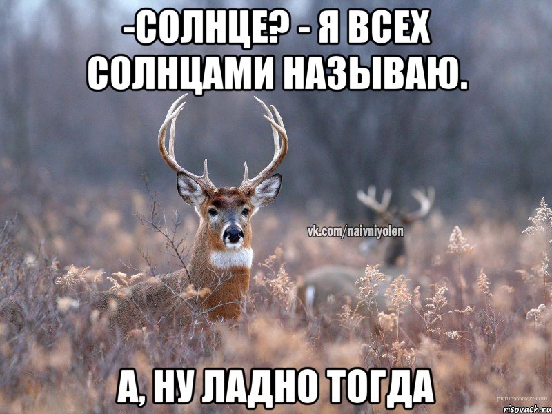 -Солнце? - Я всех солнцами называю. А, ну ладно тогда, Мем   Наивный олень