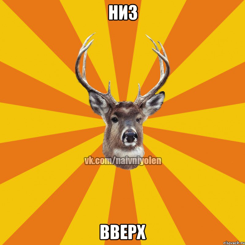 Низ Вверх