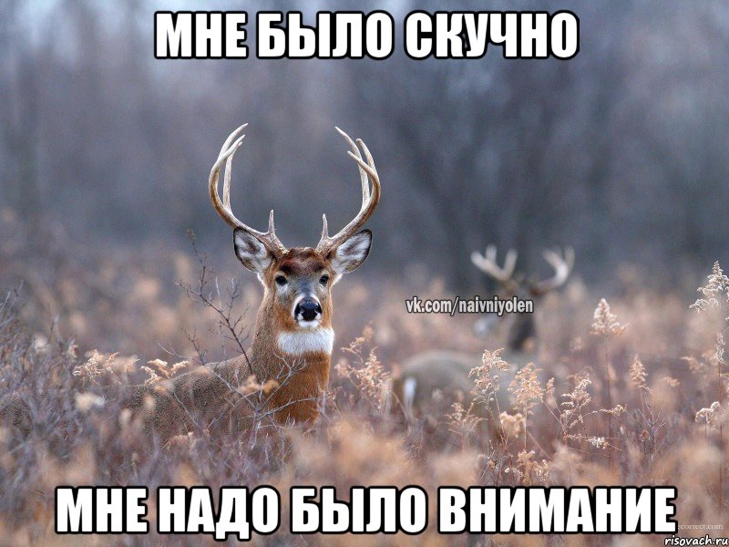 Мне было скучно Мне надо было внимание, Мем   Наивный олень