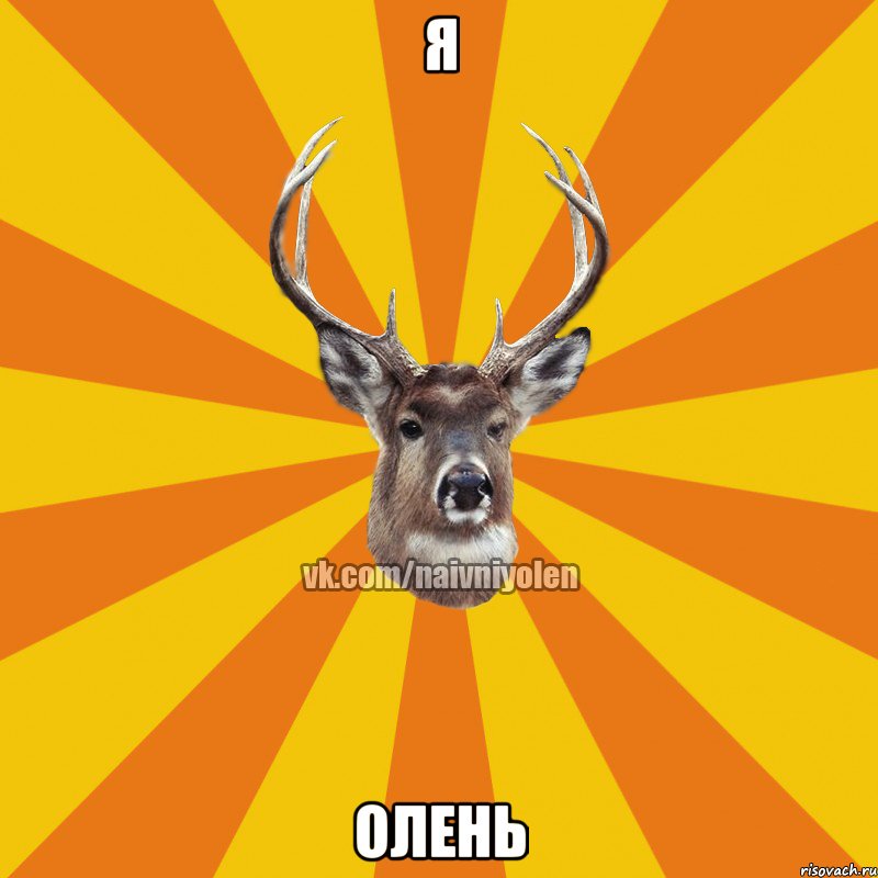 я олень