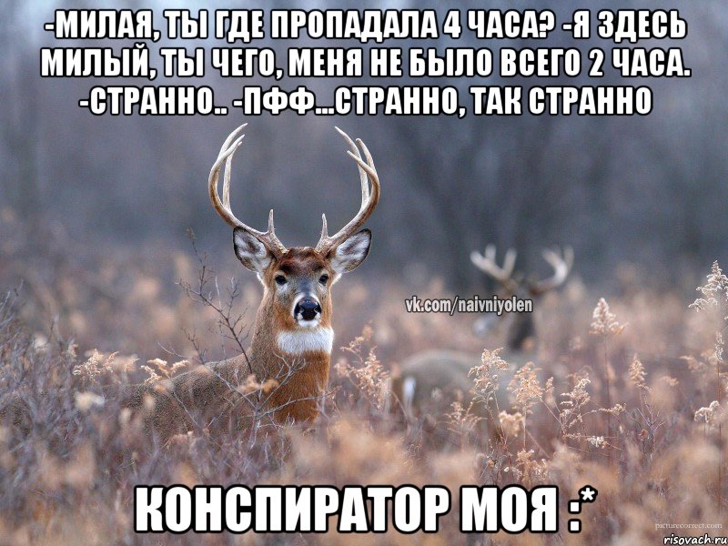 -Милая, ты где пропадала 4 часа? -Я здесь милый, ты чего, меня не было всего 2 часа. -Странно.. -Пфф...странно, так странно Конспиратор моя :*, Мем   Наивный олень