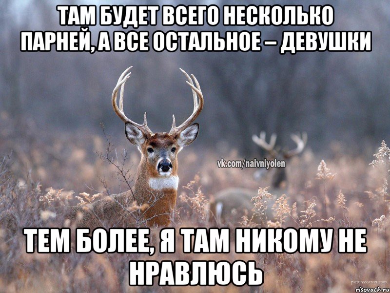 Там будет всего несколько парней, а все остальное – девушки Тем более, я там никому не нравлюсь, Мем   Наивный олень