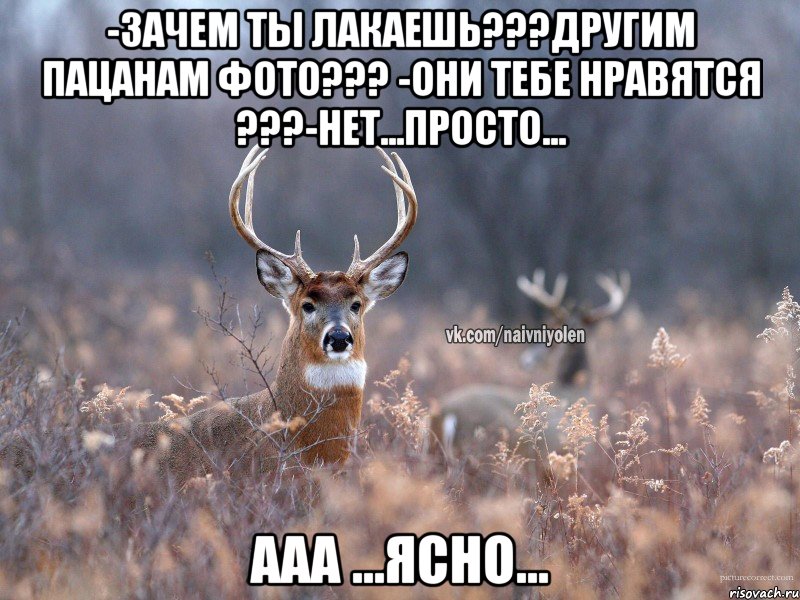 -Зачем ты лакаешь???другим пацанам фото??? -они тебе нравятся ???-нет...ПРОСТО... Ааа ...ясно..., Мем   Наивный олень