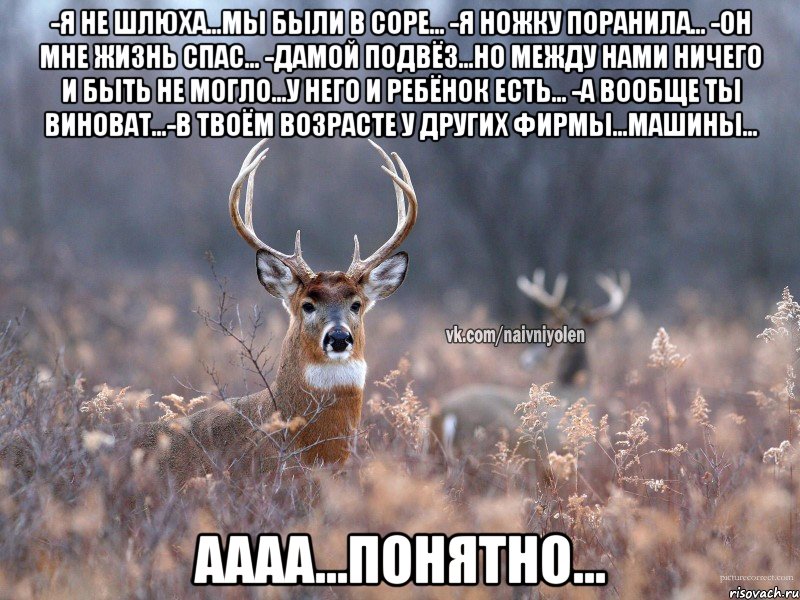 -я не шлюха...мы были в соре... -я ножку поранила... -он мне жизнь спас... -дамой подвёз...но между нами ничего и быть не могло...у него и ребёнок есть... -а вообще ты виноват...-в твоём возрасте у других фирмы...машины... Аааа...понятно..., Мем   Наивный олень