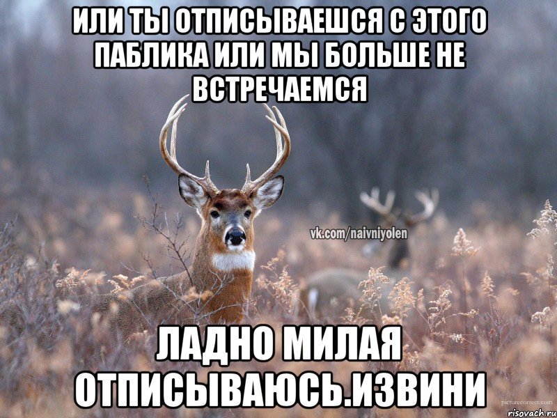 Или ты отписываешся с этого паблика или мы больше не встречаемся Ладно милая отписываюсь.Извини, Мем   Наивный олень