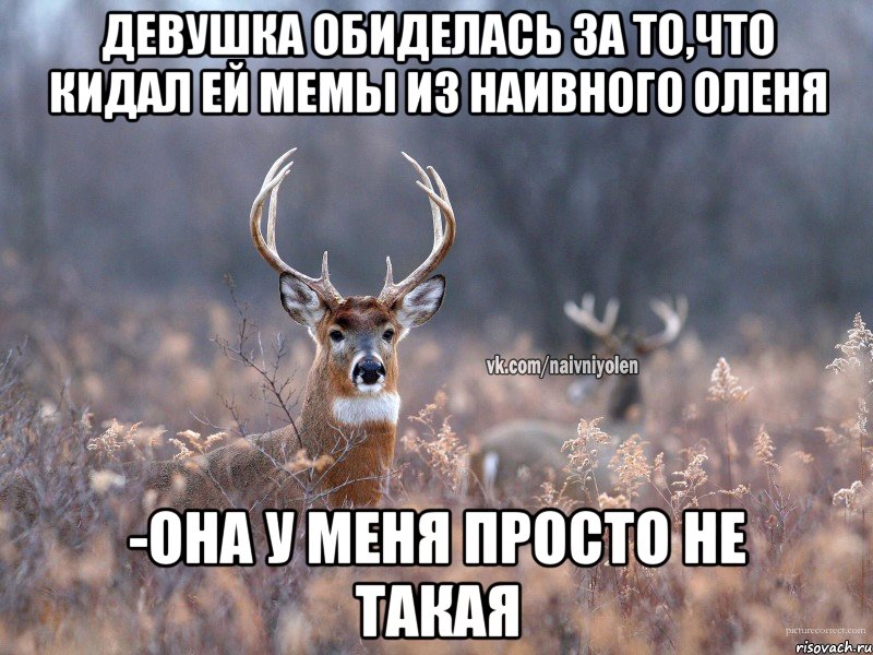 девушка обиделась за то,что кидал ей мемы из наивного оленя -она у меня просто не такая, Мем   Наивный олень