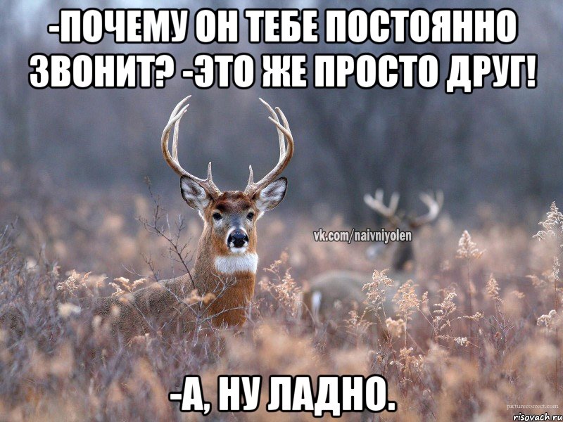 -Почему он тебе постоянно звонит? -Это же просто друг! -А, ну ладно., Мем   Наивный олень