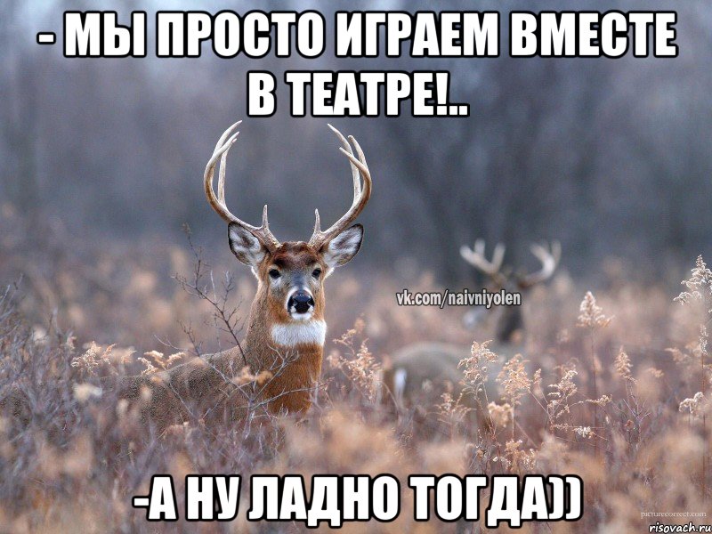 - мы просто играем вместе в театре!.. -а ну ладно тогда)), Мем   Наивный олень